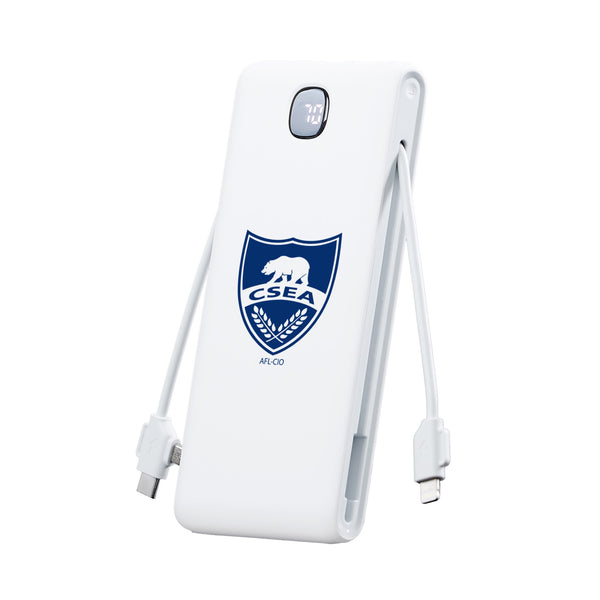 Power Bank w/ Wall Plug