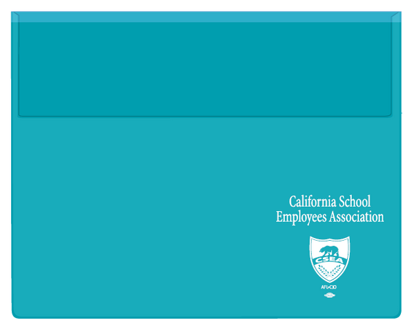 Teal Vinyl File