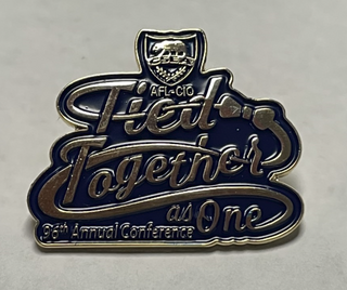 Past Conference Pins