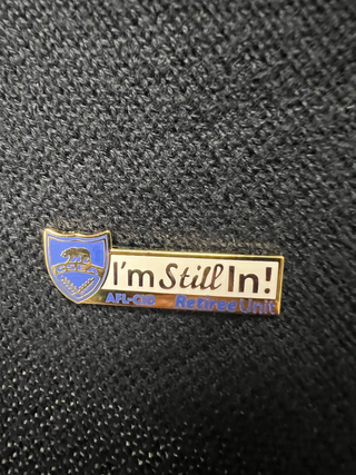 Other Pins