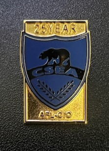 NEW Officer/Service Lapel Pins