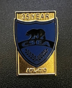 NEW Officer/Service Lapel Pins