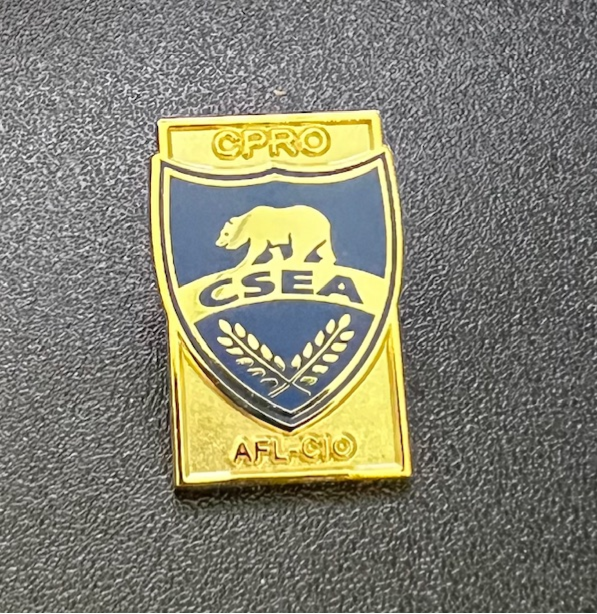 NEW Officer/Service Lapel Pins
