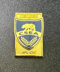 NEW Officer/Service Lapel Pins