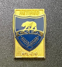 NEW Officer/Service Lapel Pins
