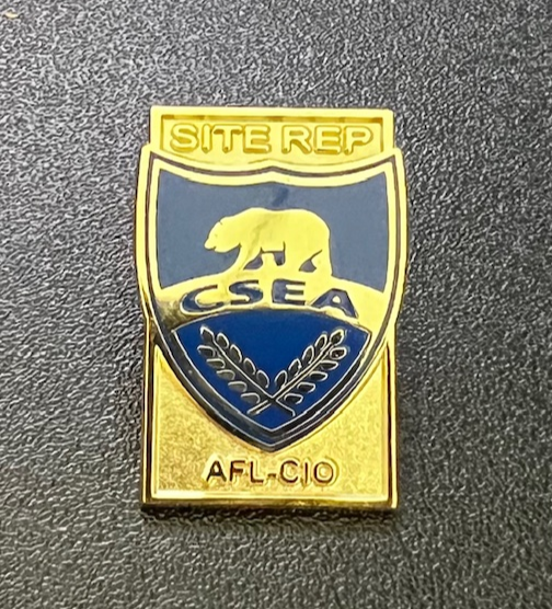NEW Officer/Service Lapel Pins