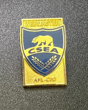 NEW Officer/Service Lapel Pins